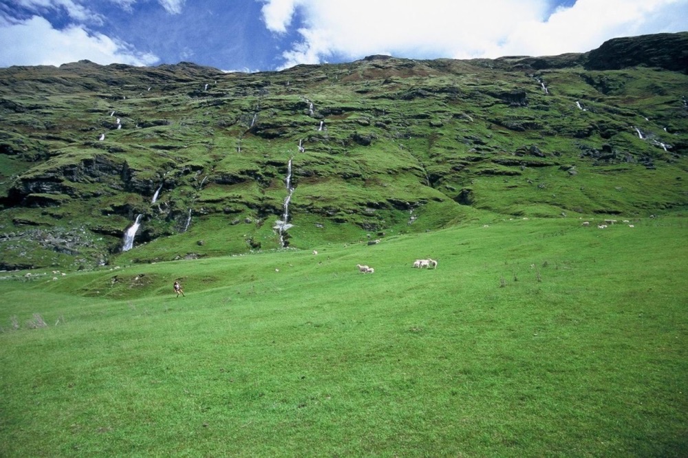 novy_zeland-100