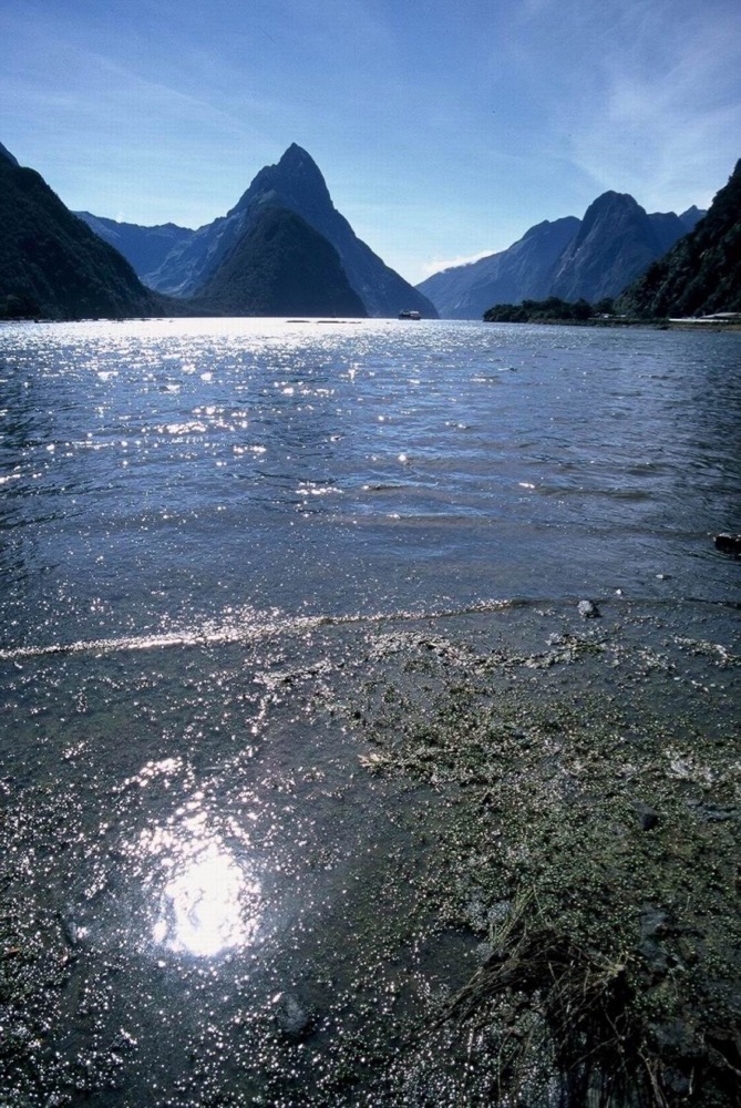 novy_zeland-101