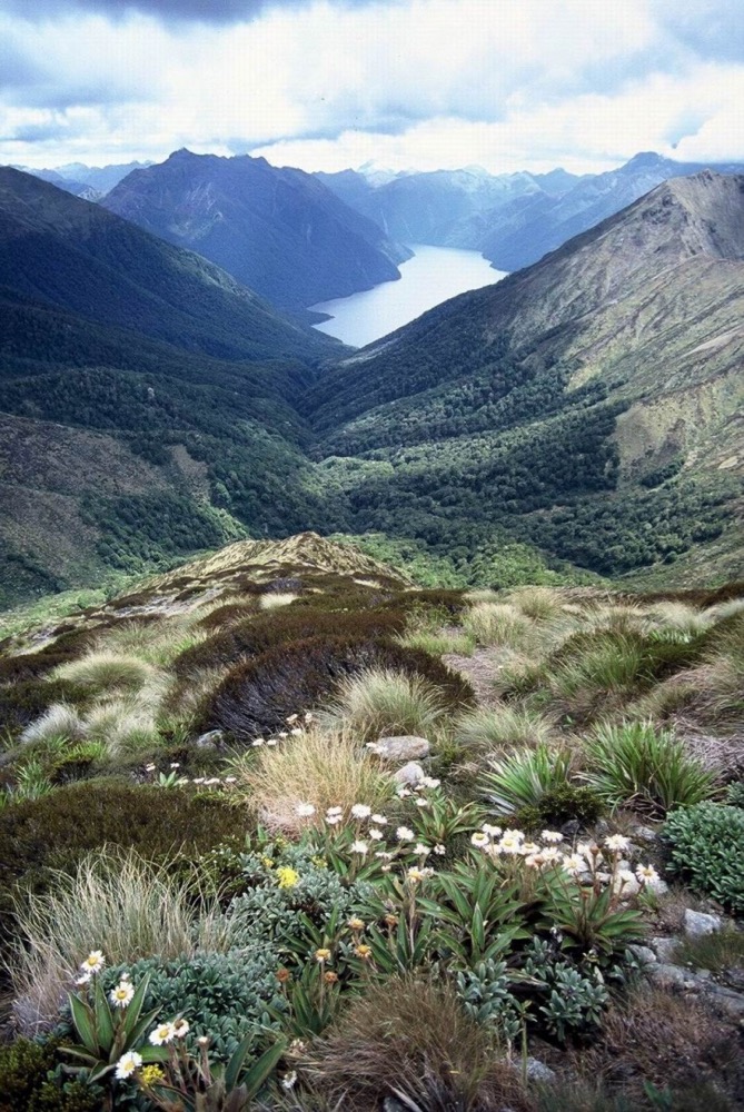 novy_zeland-113