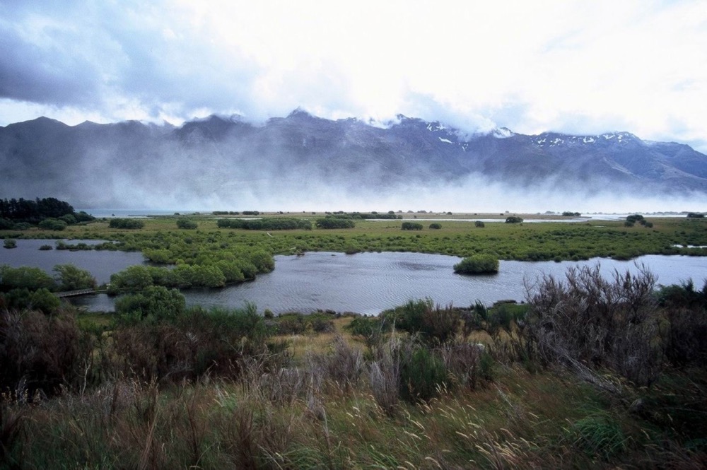 novy_zeland-120