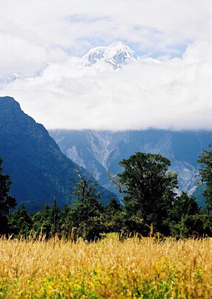 novy_zeland-137