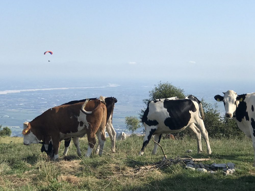 20170802_elspeedo-paragliding-apt-00006