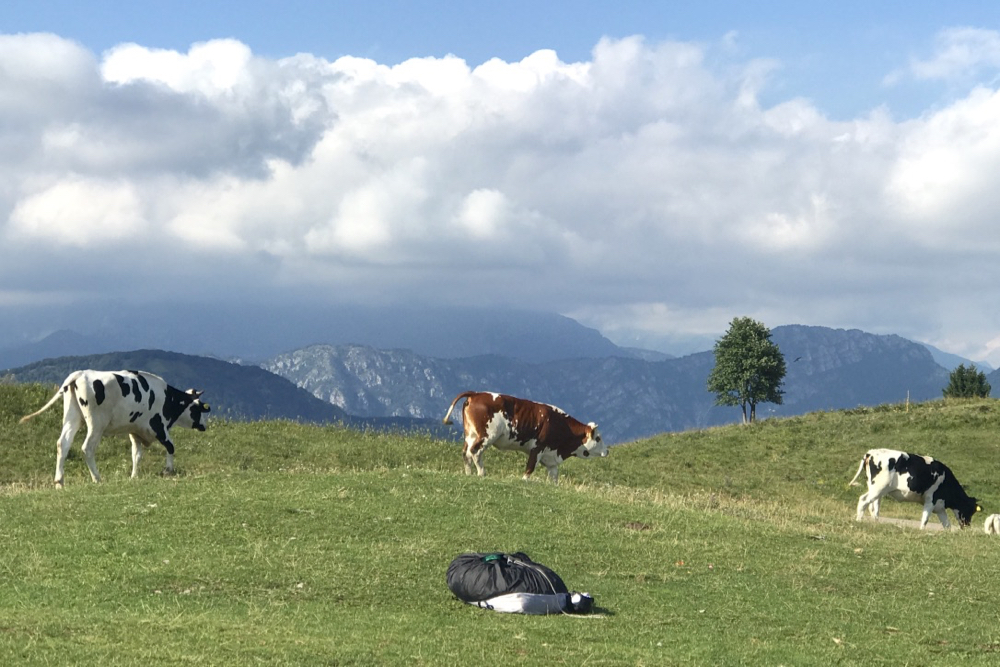 20170802_elspeedo-paragliding-apt-00036