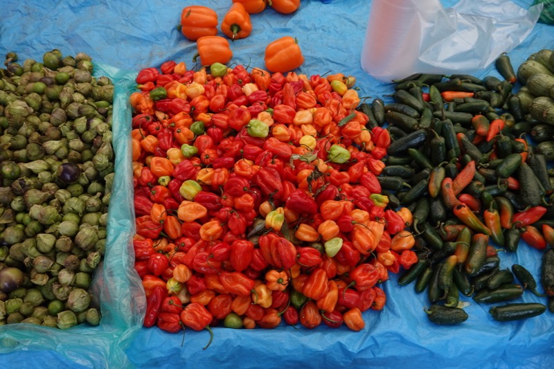 mexico_1_2020-8