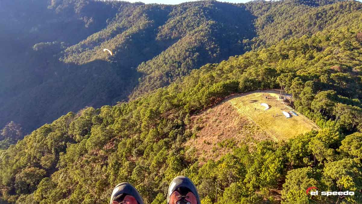 el_speedo_paragliding_kurz_mexico_2020_3-18