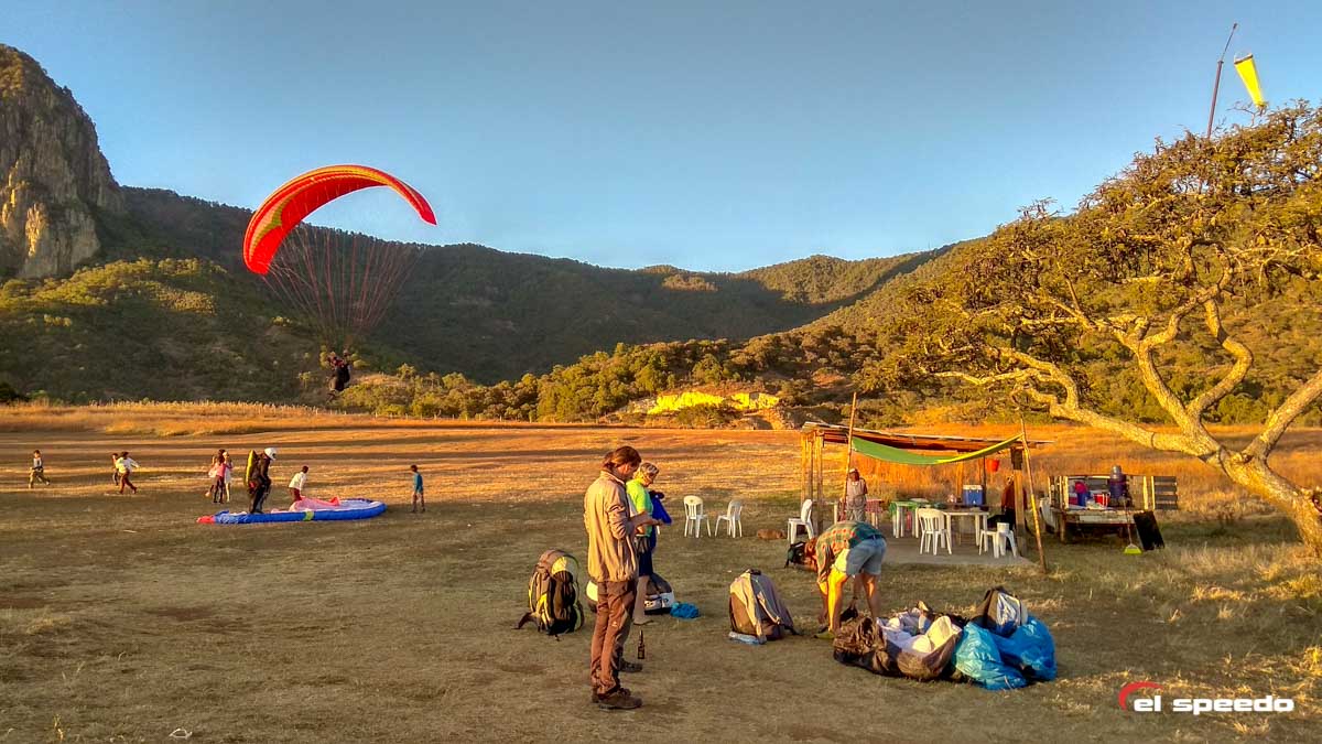 el_speedo_paragliding_kurz_mexico_2020_3-20