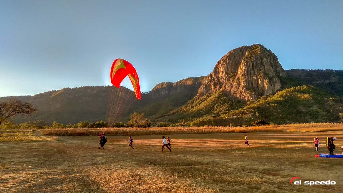 el_speedo_paragliding_kurz_mexico_2020_3-21