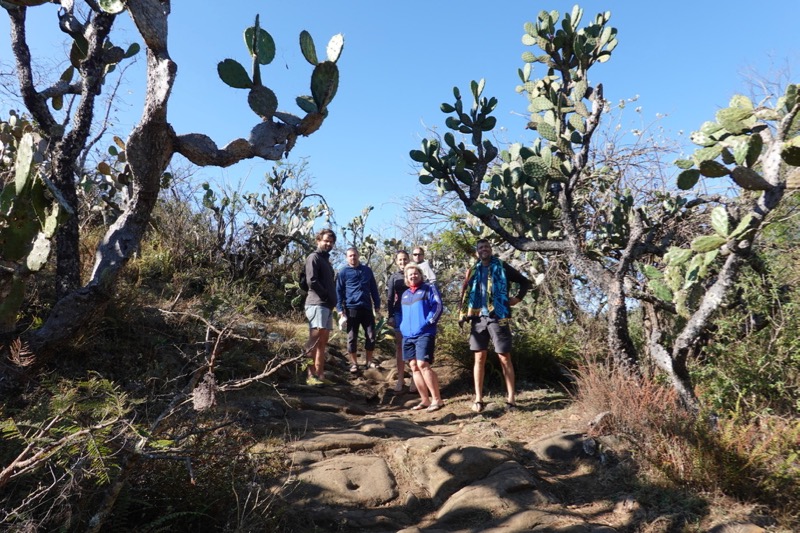 mexico_2_2020-14