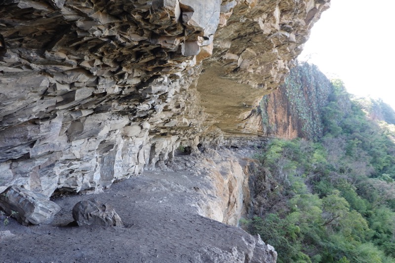 mexico_2_2020-18