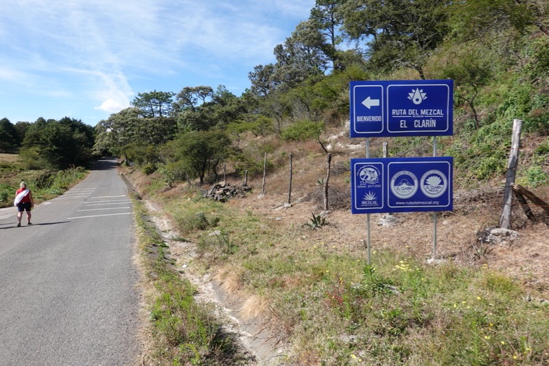 mexico_2_2020-2