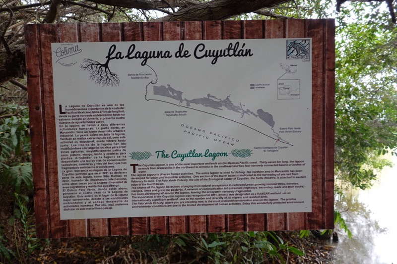 mexico_2_2020-30