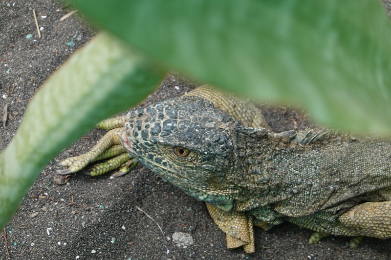 mexico_2_2020-38