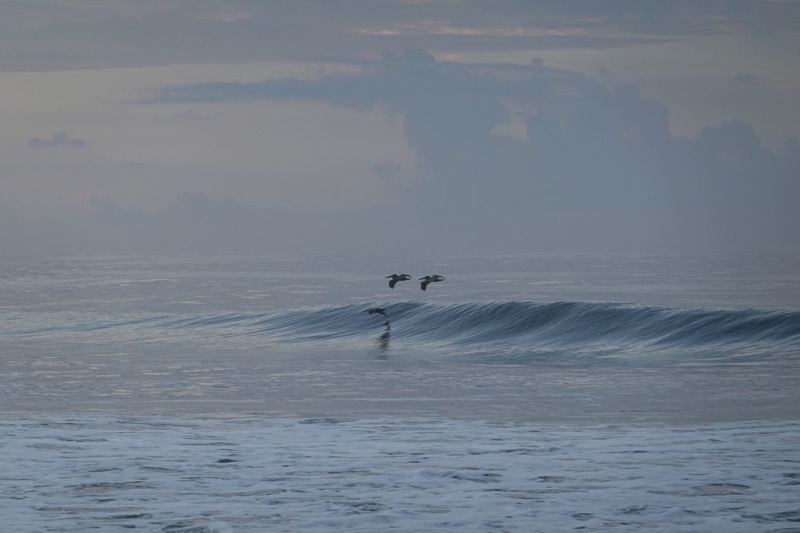 mexico_2_2020-51