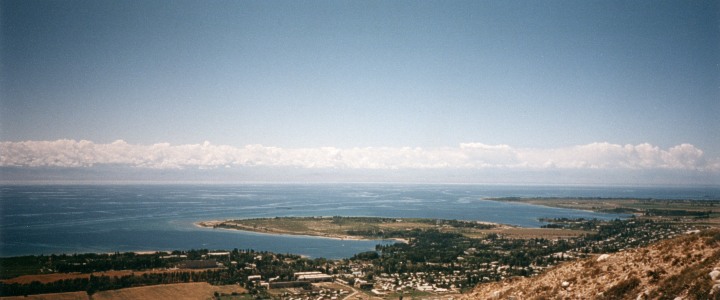 carbol3d