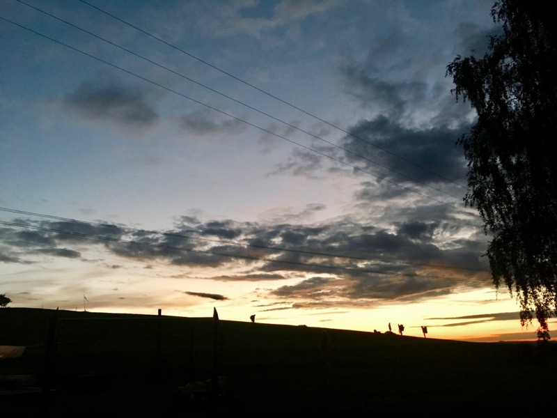 sunset_elspeedo_paragliding-2