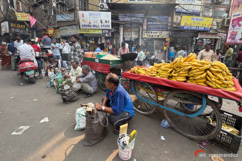 20241106_elspeedo_indie_delhi-bir_00047