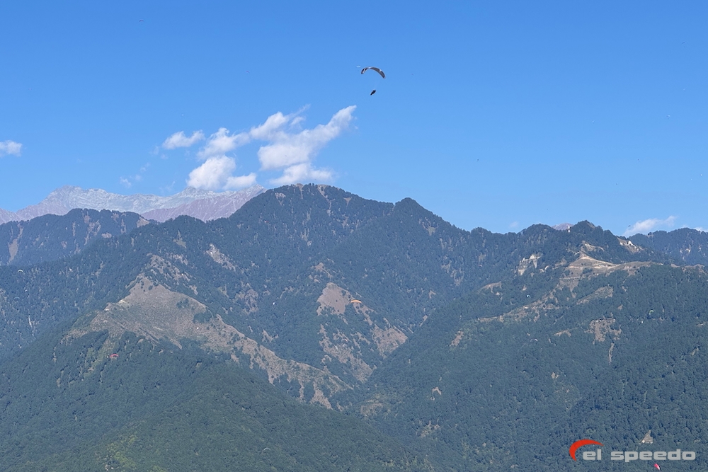 20241106_elspeedo_paragliding_indie_bir-billing_00088